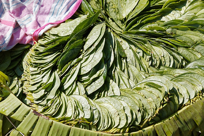 Karnataka-Marché en route-005